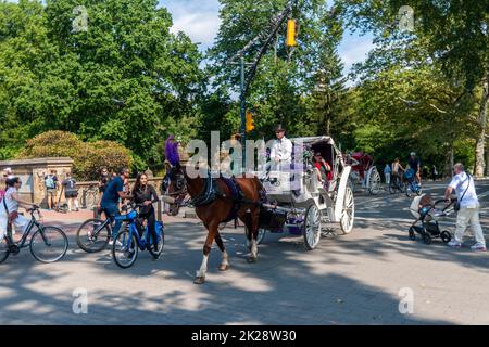 Horse-drawn carriages, scooters, runners and bicycles on the busy 72nd Street transverse in Central Park in New York on Saturday, September 17, 2022. (© Richard B. Levine) Stock Photo