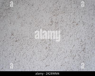 light grey plaster texture useful as a background Stock Photo