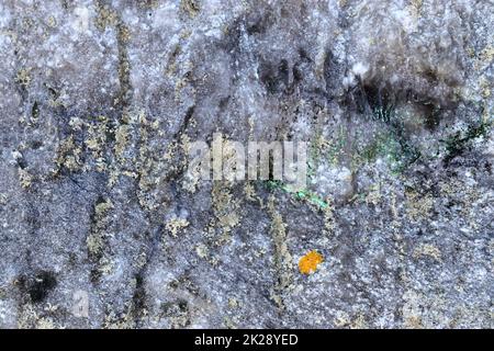 Close up view at a natural limestone wall in the mountains. Stock Photo