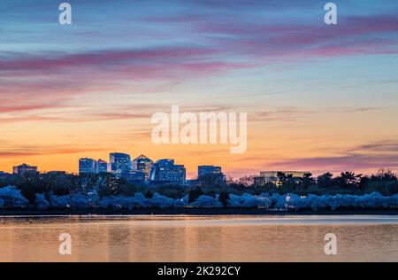 Rosslyn Buildings at Sunset II Stock Photo