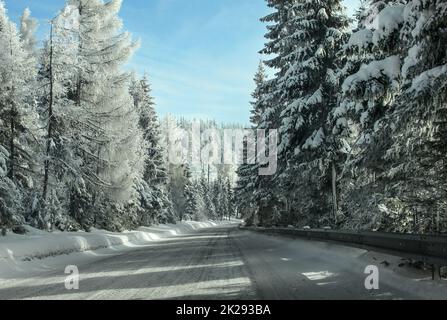 View from driver's seat, driving through winter forest road, snow covered pine trees on both sides, sun and clear sky over hill in distance. Stock Photo