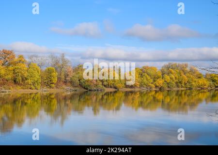 Autumn landscape. River and river bank with yellow trees. Willow and poplar on the river bank. Stock Photo