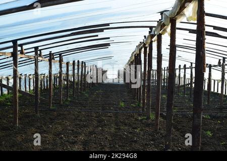 Greenhouses made of polymer film. Early spring in the garden greenhouses Stock Photo