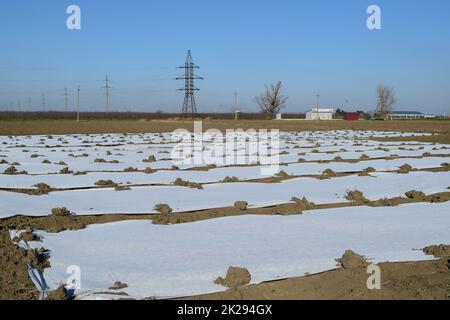 Greenhouses made of polymer film. Early spring in the garden greenhouses Stock Photo