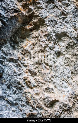 Limestone rock, with some plants growing on it Stock Photo