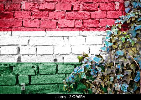 Hungarian grunge flag on brick wall with ivy plant Stock Photo