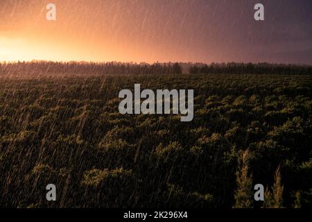 Rain over orange fields at sunset Stock Photo