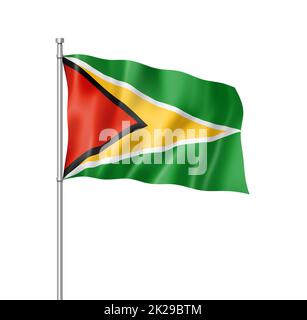 Guyanese flag isolated on white Stock Photo