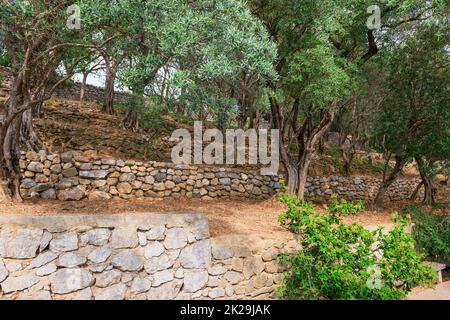 Stone terraces on the mountainside with olive trees Stock Photo