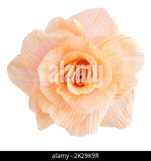 Rose paper flower on white Stock Photo