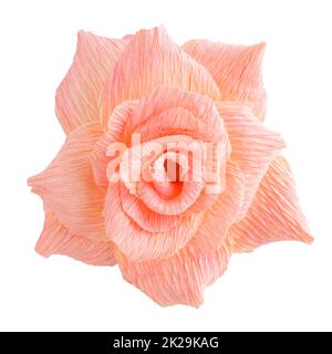 Rose paper flower on white Stock Photo
