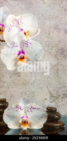 The concept of a spa massage with stones with an orchid flower on a textured background. Stock Photo