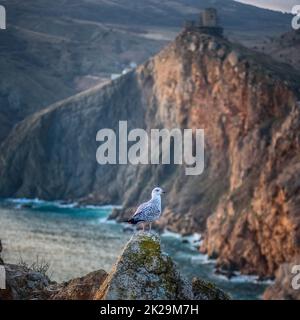 Landscape, sea, mountains, and a bird sitting on a rock. Stock Photo