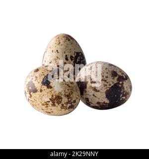 Quail eggs isolated on white background Stock Photo