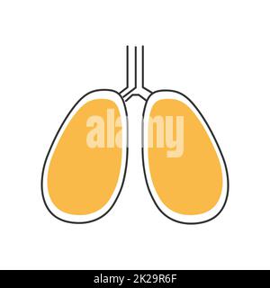 Stylish thin line lungs icon on white background - Vector Stock Photo