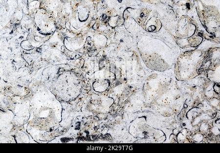 Close up view at the surface marble stone Stock Photo