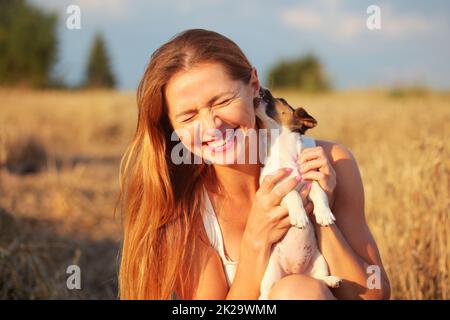 Young brunette woman, holding Jack Russell terrier puppy, that is chewing and licking her ear, so she smiles, sunset lit wheat field in background. Stock Photo