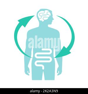 Relation of human brain and guts, second brain, image diagram, vector illustration Stock Photo