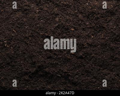 Texture of a planting bed or potting soil, view from above Stock Photo