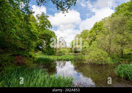 The lake at Pencarrow House and Gardens in springtime. Cornwall UK Stock Photo