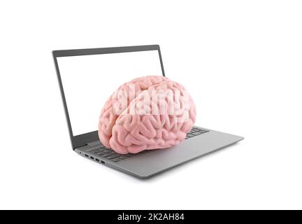 Human brain on laptop isolated on white background Stock Photo