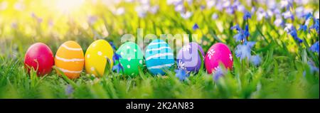 Easter eggs on the meadow with fresh green grass Stock Photo