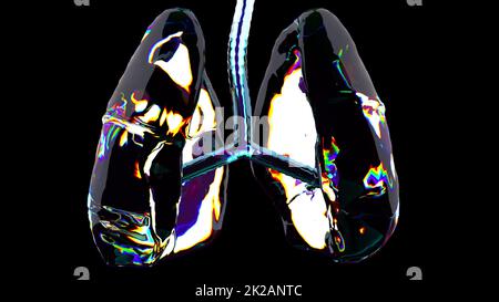 Glass human lungs Stock Photo