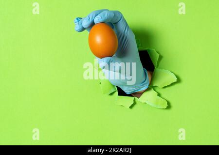 Chicken egg in hand after breaking through a paper wall Stock Photo