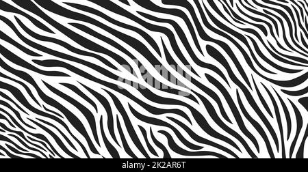 Wavy black and white zebra fur texture - Vector Stock Photo