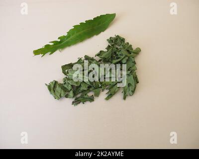 Dandelion herbs, dried leafes for herbal tea Stock Photo