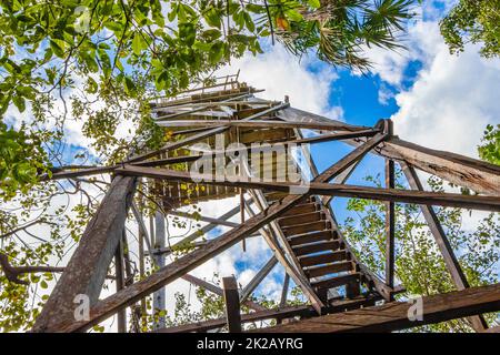 Wooden viewpoint tower tropical jungle to Muyil Lagoon panorama Mexico. Stock Photo