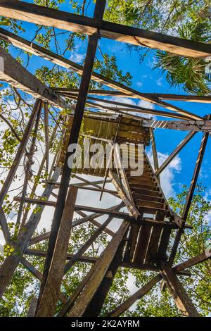 Wooden viewpoint tower tropical jungle to Muyil Lagoon panorama Mexico. Stock Photo