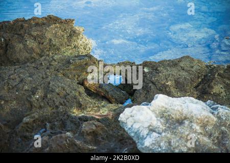 Brown and white stones on the shore Stock Photo