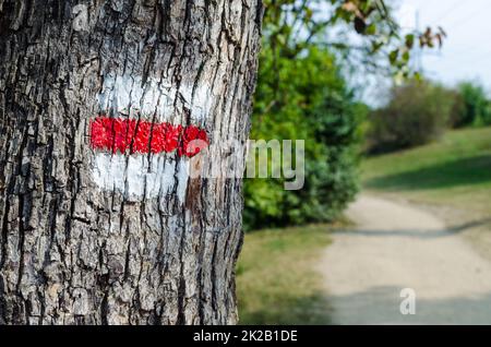 Green sign on a tree. Marking on hiking trails Stock Photo - Alamy