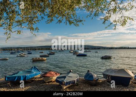 Boats on the shore of Allensbach on Lake Constance, Baden-Wuerttemberg, Germany Stock Photo