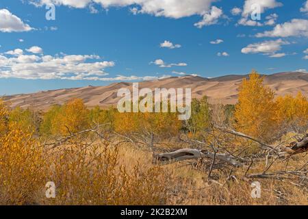 Sand Dunes Rising Out of the High Plains in Autumn Stock Photo
