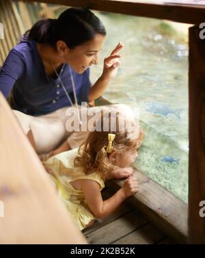 Look theres a mommy fish and her little one Just like us. A mother and daughter looking at fish at an aquarium. Stock Photo