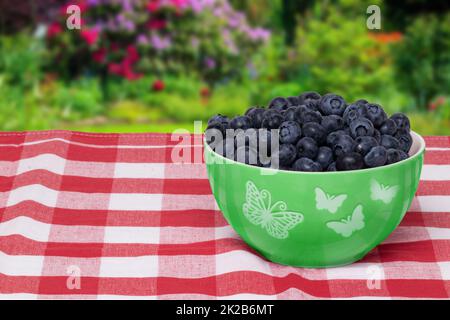 Closeup of fresh blueberries filled in a ceramic bowl on a red checked napkin or tablecloth in front of abstract blurred summer landscape. Concept of healthy nutrition. Space for your design. Stock Photo