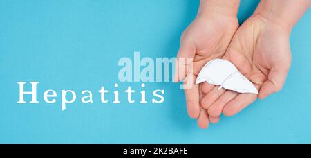 World hepatitis day, hands holding a liver, organ disease, health care Stock Photo