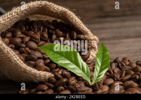Coffee brown bean medium roasted with fresh green leaf. Stock Photo
