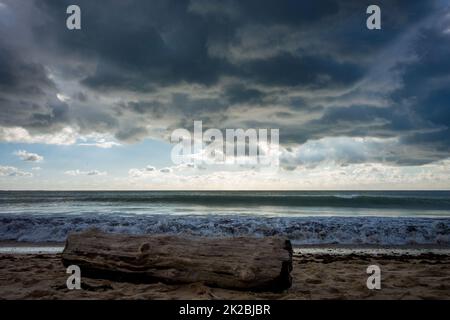 Tree trunk on a beach and cloudy seascape at sunset Stock Photo