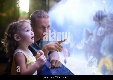 Shes focused on those fish. Cropped shot of a little girl on an outing to the aquarium. Stock Photo