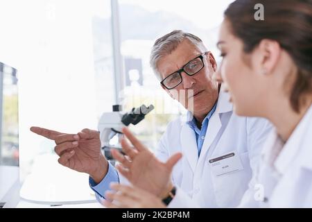 Analyzing the recordings of their latest data. Shot of two scientists working together on a computer in a lab. Stock Photo