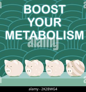 Inspiration showing sign Boost Your Metabolism. Business overview Increase the efficiency in burning body fats Multiple Piggy Bank Drawing On Table With Striped Background. Stock Photo