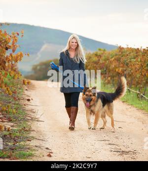 Getting some fresh air. Portrait of a pretty young woman walking her Alsatian in a vineyard. Stock Photo