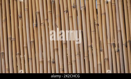 Bamboo fence background. A close up old bamboo fence on the beach Stock Photo