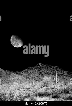 Arizona Sonora Desert Moon in infrared monochrome Stock Photo