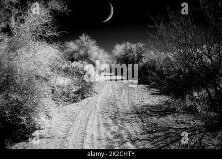 Arizona Sonora Desert road with Moon in infrared monochrome Stock Photo