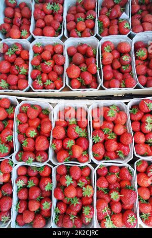 Fresh strawberries Stock Photo