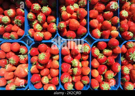 Fresh strawberries Stock Photo